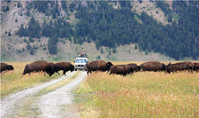 USA-Wyoming-Grand Teton and Yellowstone Multi-Sport